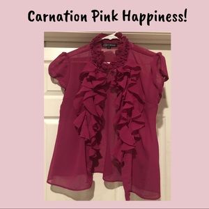 Sheer Pink Blouse